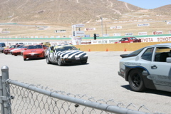 IMG_0806.JPG